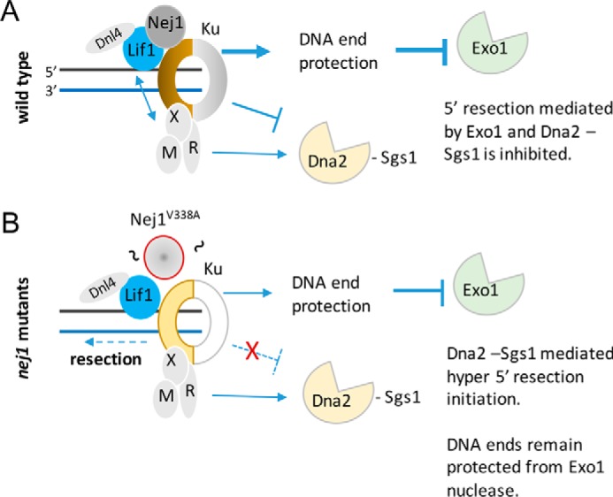 Figure 7.