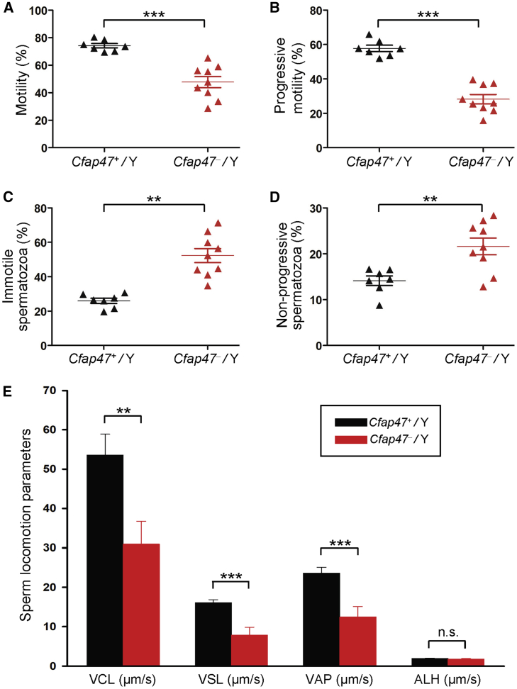 Figure 6