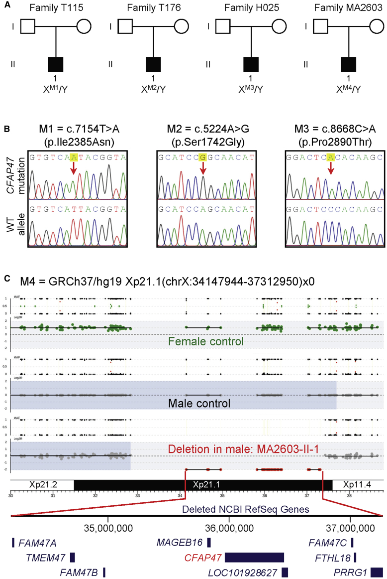 Figure 1