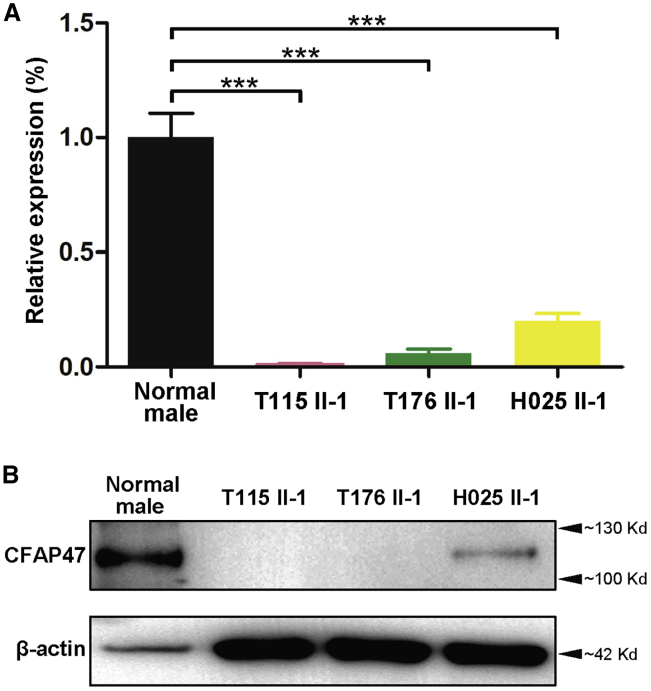 Figure 3