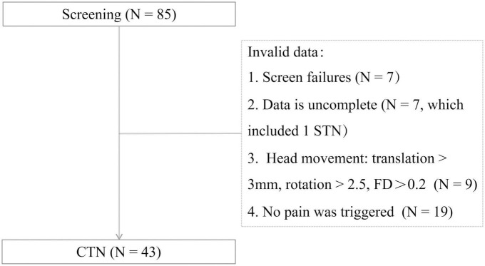 FIGURE 1