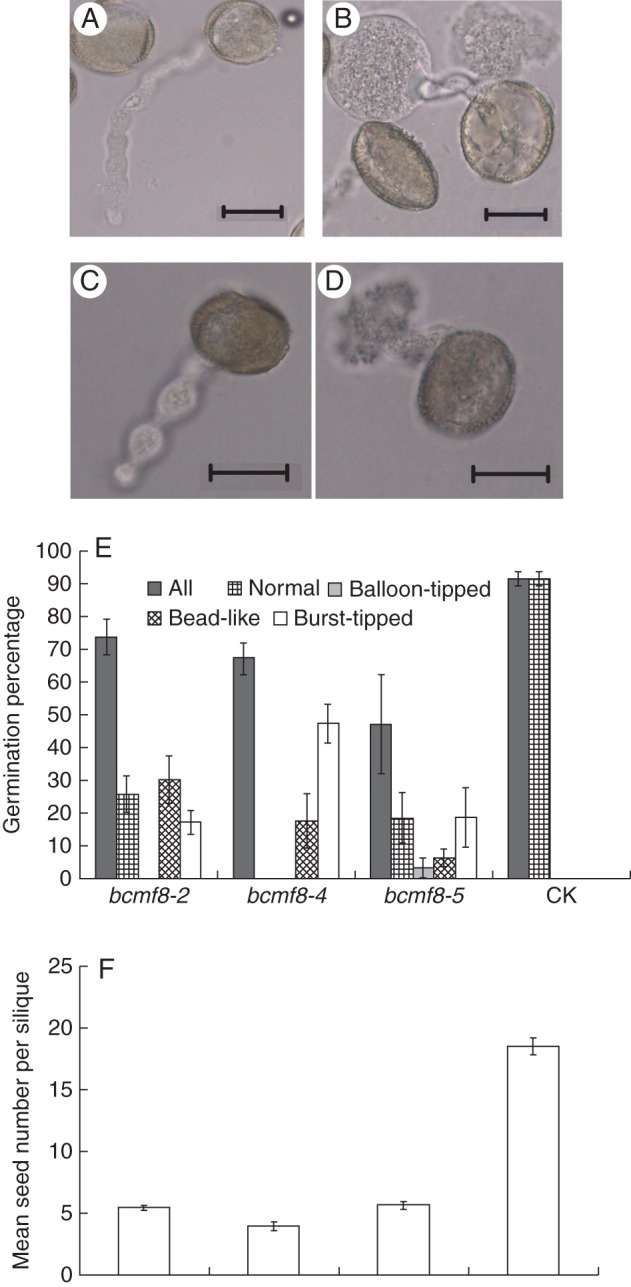 Fig. 8.