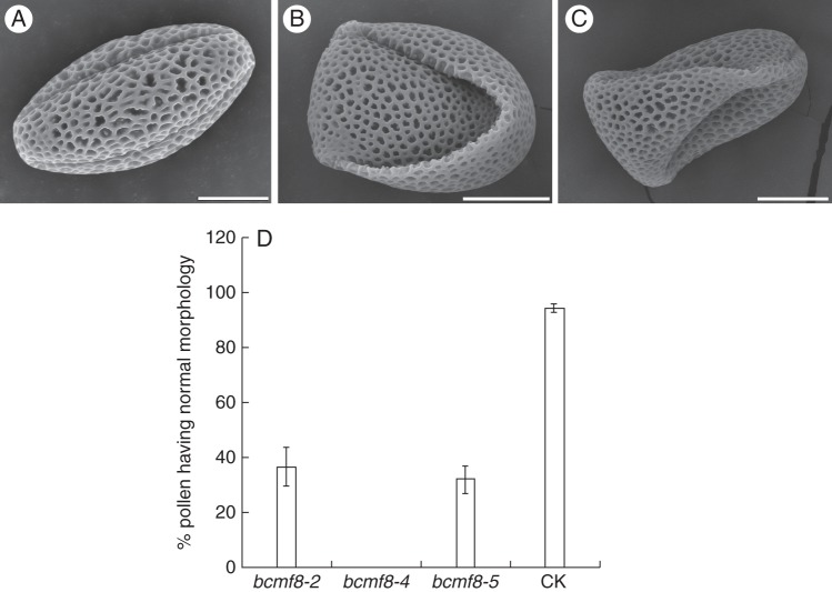 Fig. 6.