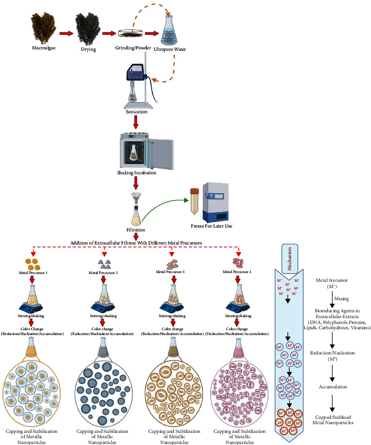 Figure 6