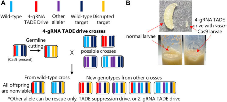 FIGURE 3