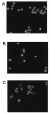 FIG. 6