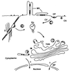 FIG. 7.