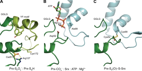 FIGURE 4.