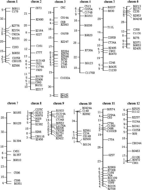 Figure 2.—