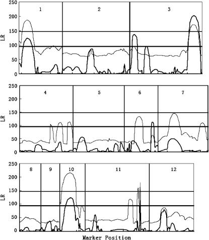 Figure 3.—