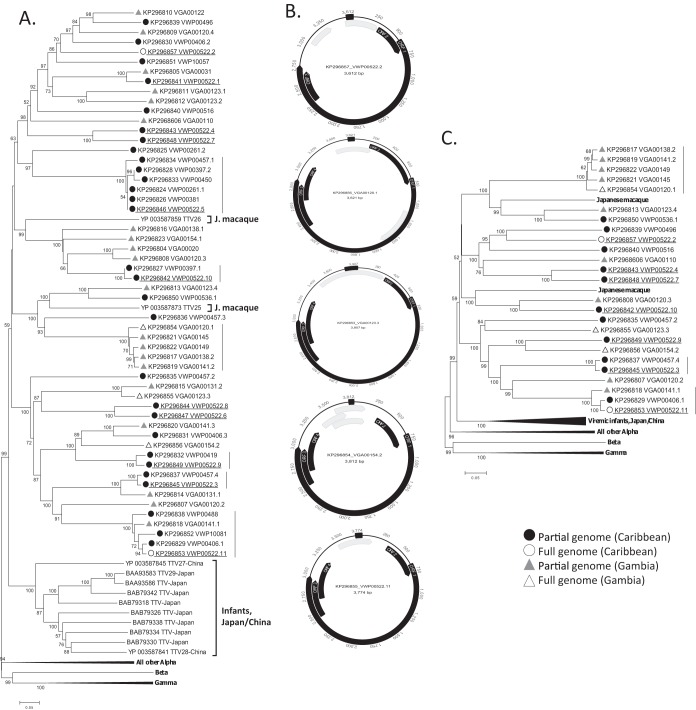 FIG 3