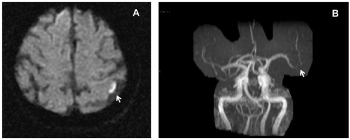 Figure 2.