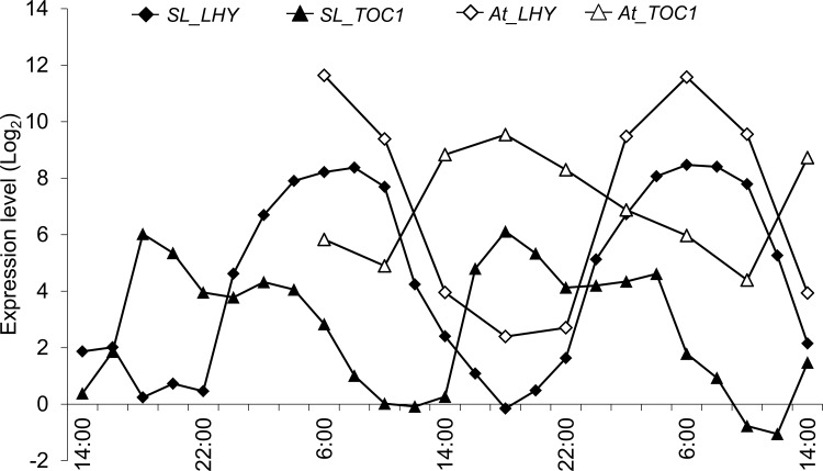 Fig 8