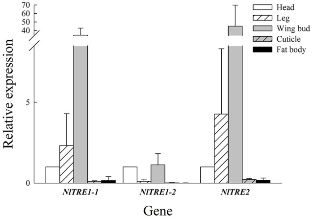 Figure 2