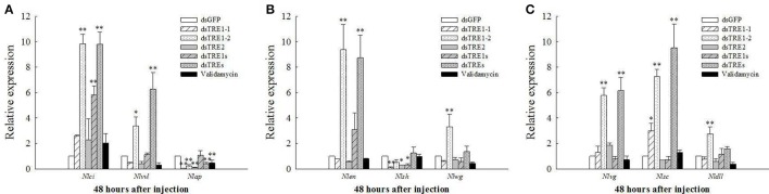 Figure 6