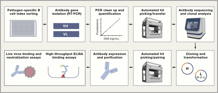 Figure 2