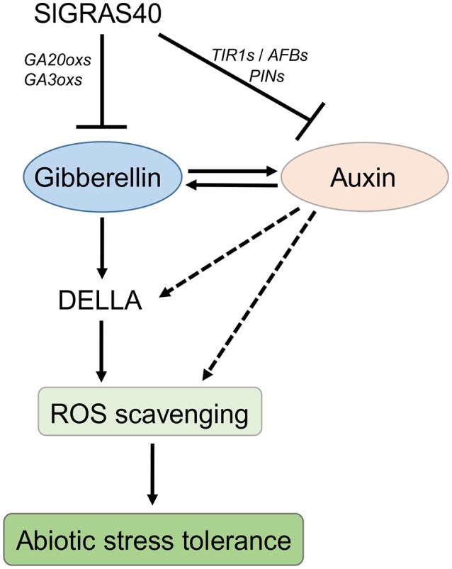 Figure 10