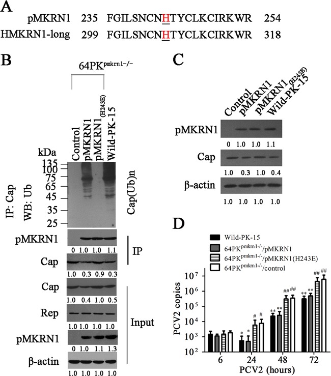 FIG 6