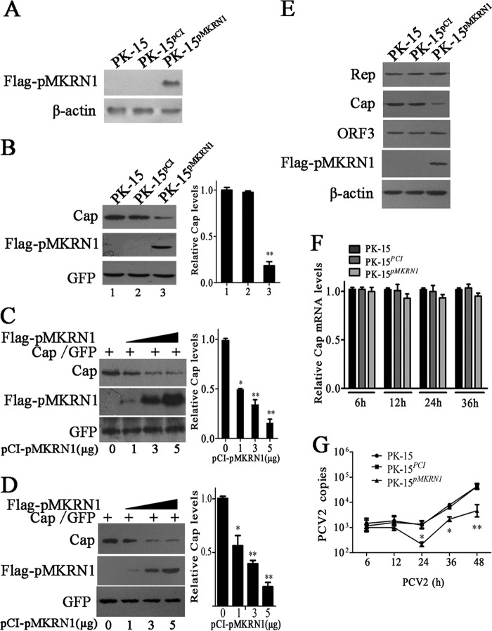 FIG 3