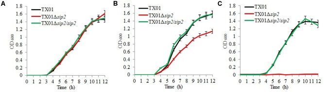 FIGURE 4