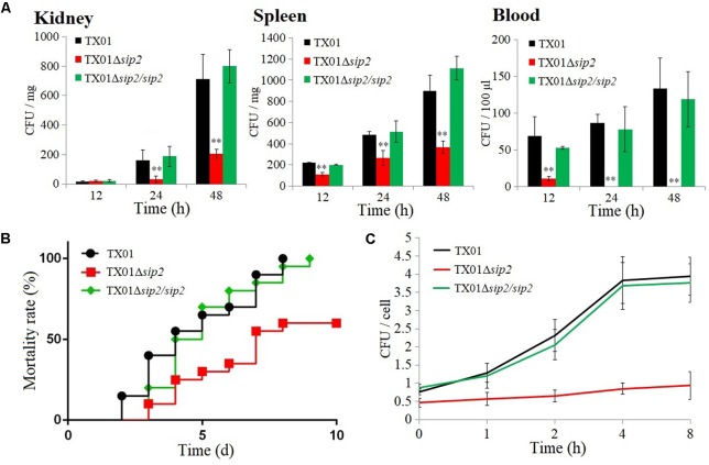 FIGURE 3