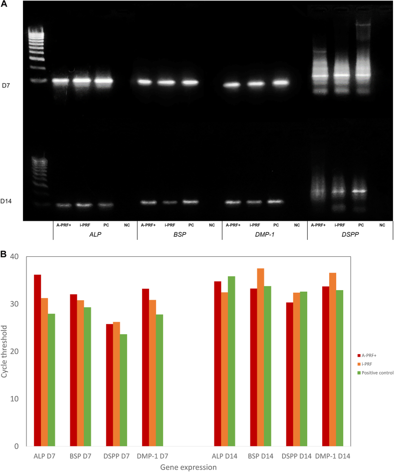 Figure 3