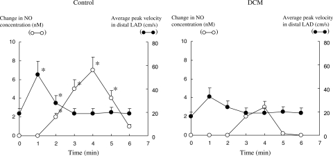 Figure 5