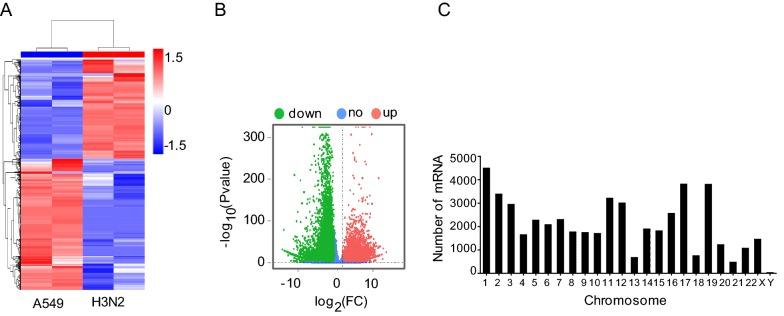 Fig. 3