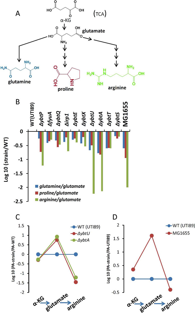 Figure 7