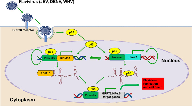 Fig 11