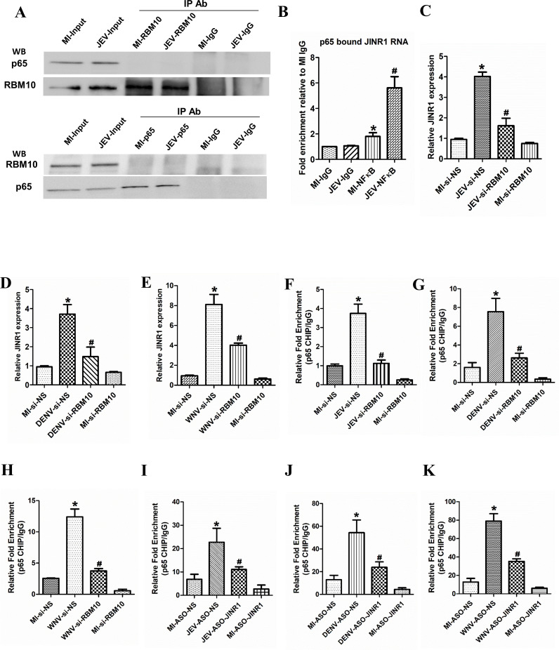 Fig 10