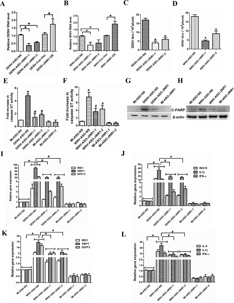 Fig 5