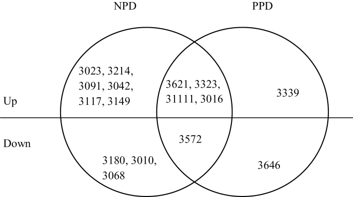 Fig. 9.