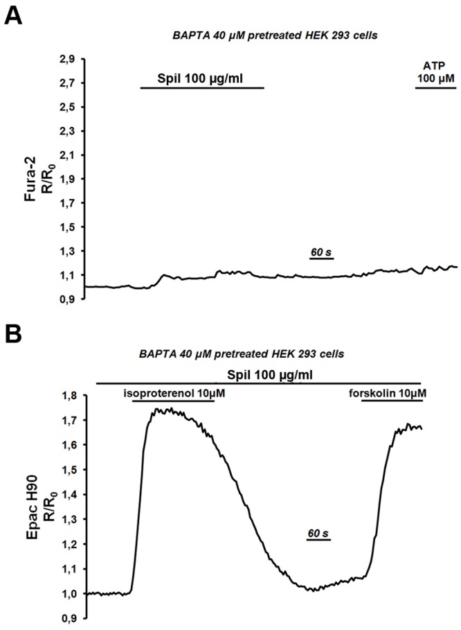 Fig 8