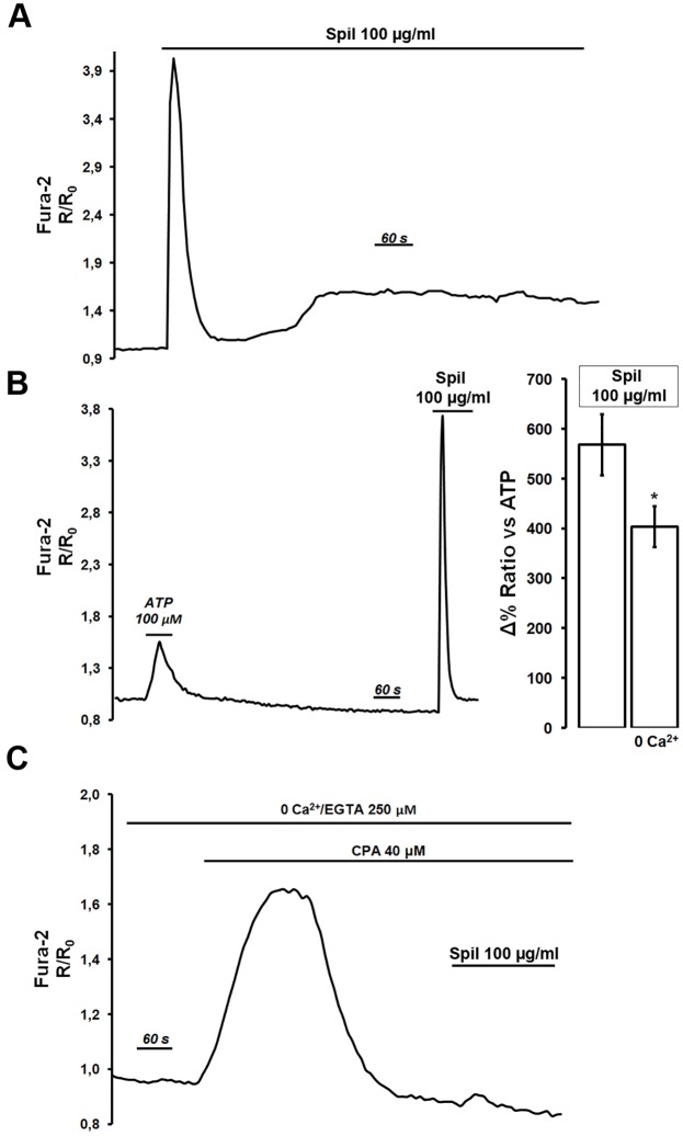 Fig 7