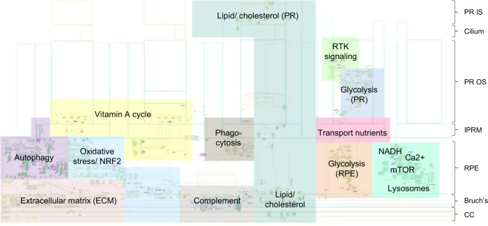 Fig. 2