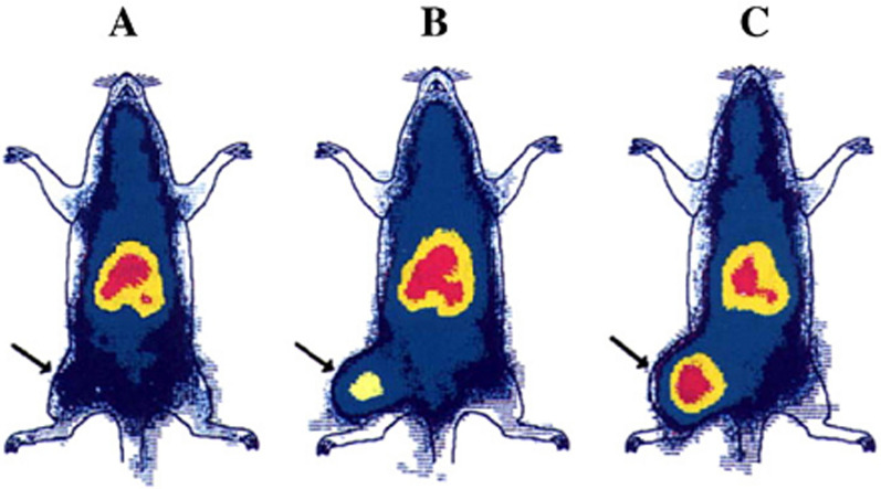 Fig. 27