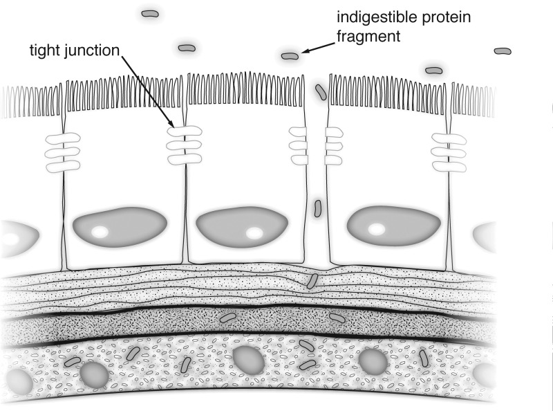 FIG. 1.