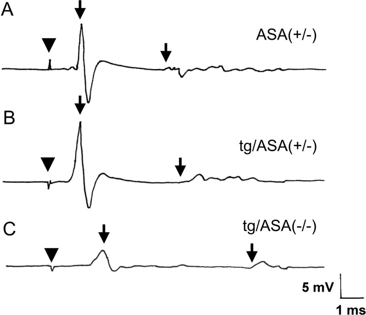 Figure 10.