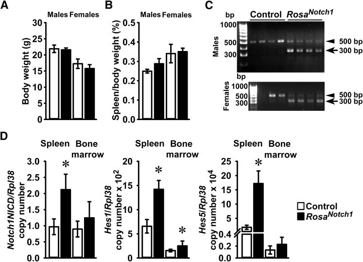 Figure 6