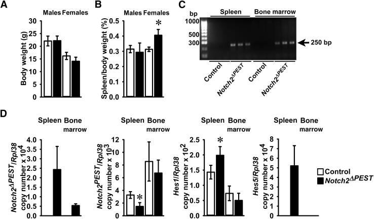 Figure 4