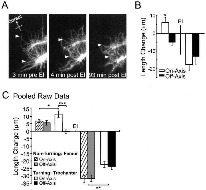 Fig. 9.