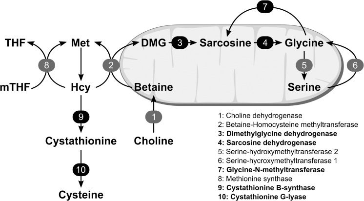 Fig 1