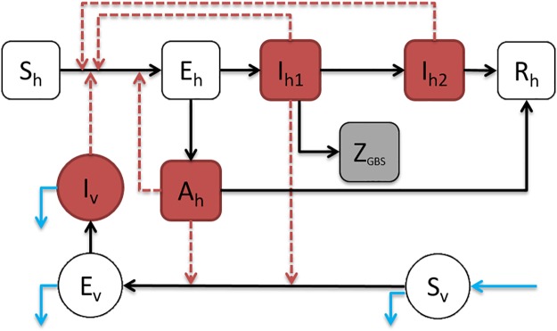 Fig 3