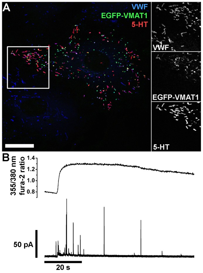 Fig. 2.