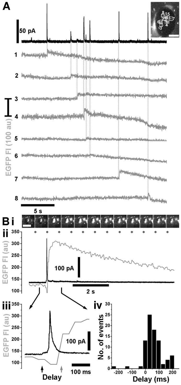 Fig. 3.