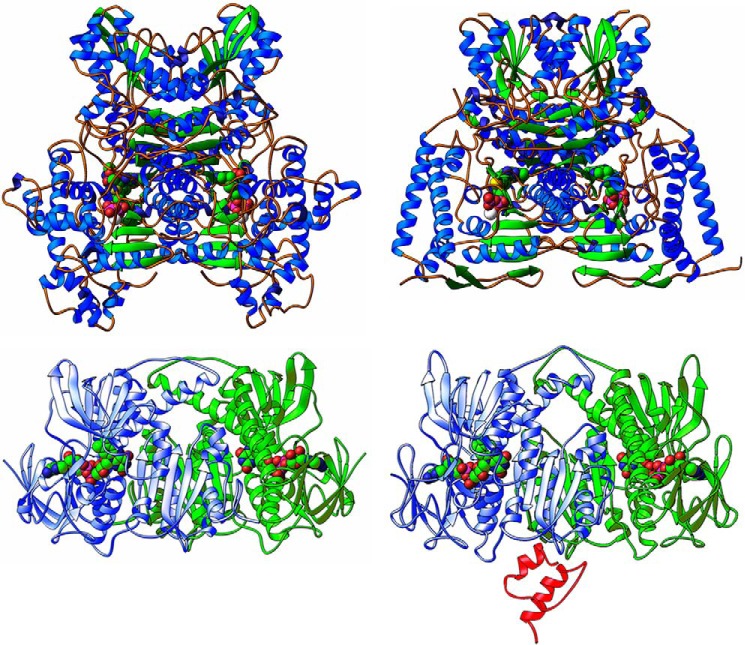 FIGURE 2.