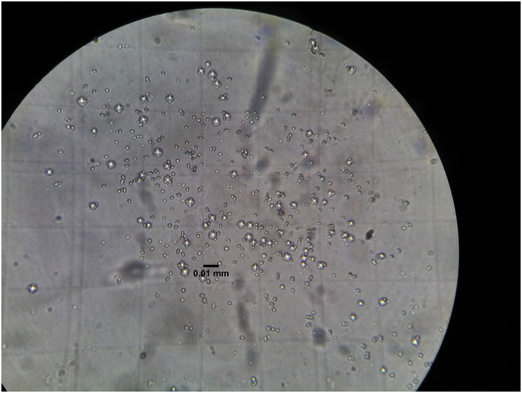 Fig. 3