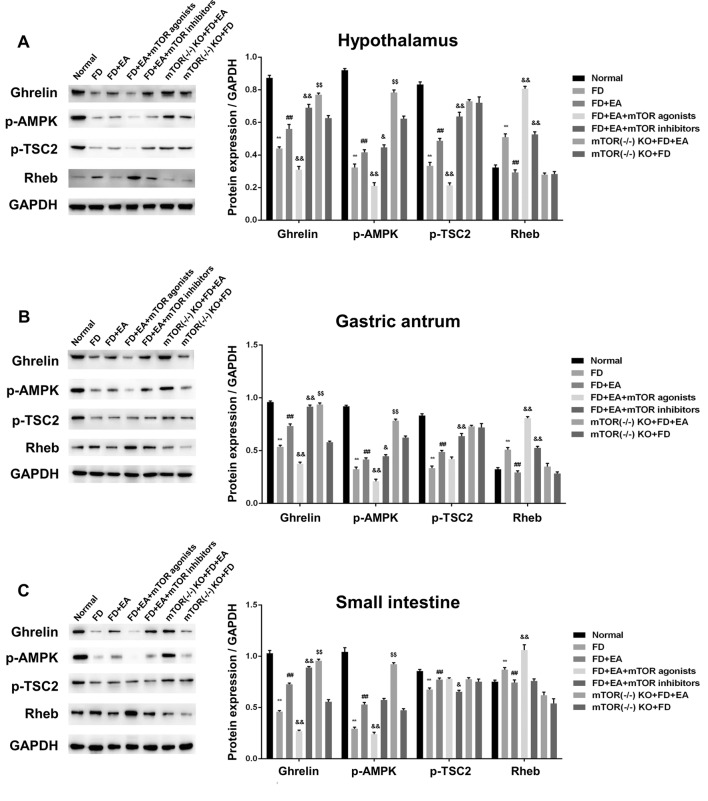 Fig. 4