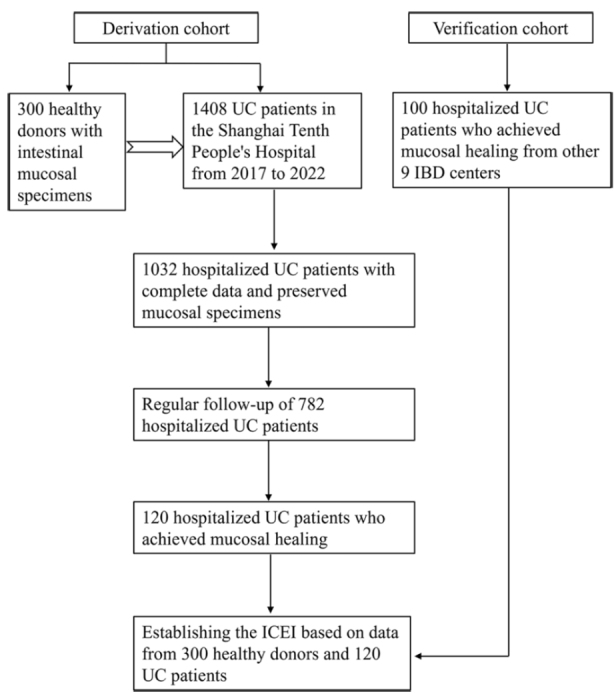 Figure 1